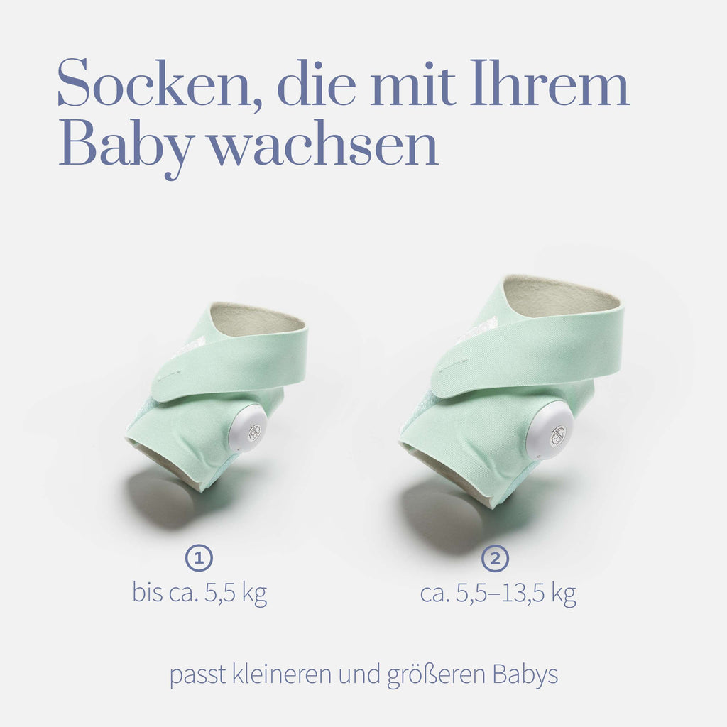850017640122_18680_SmartSock_31