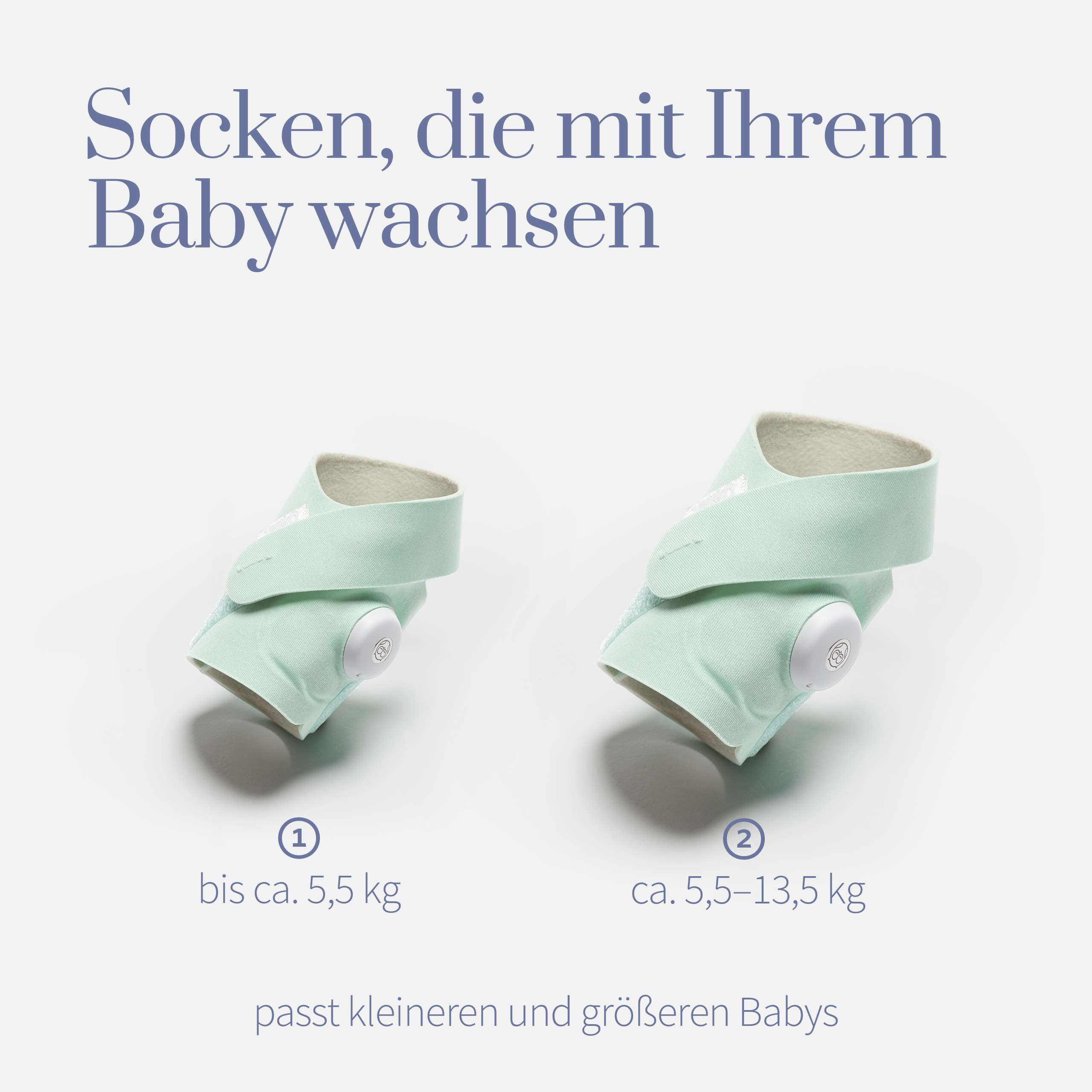 850017640122_18680_SmartSock_31