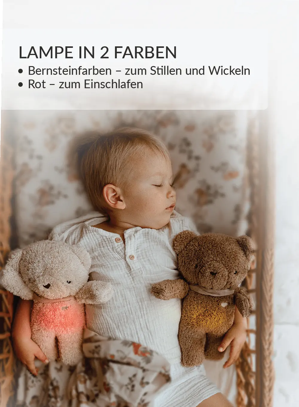 BrownBear_DE-03-2