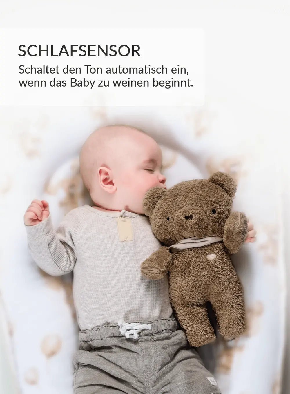 BrownBear_DE-04__1_-2