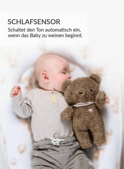 BrownBear_DE-04__1_-2