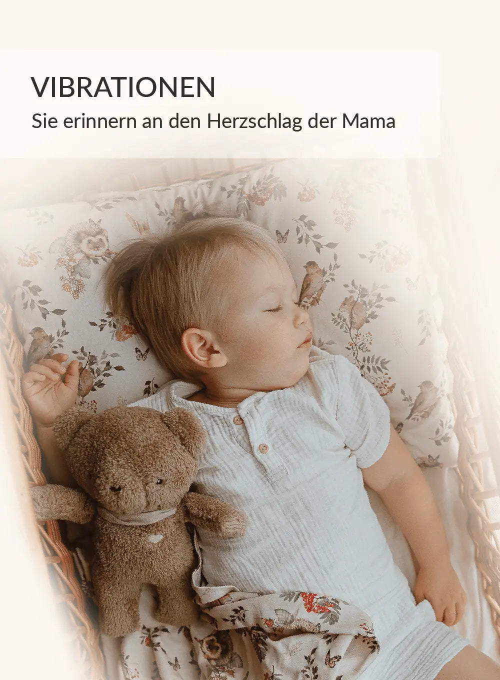 BrownBear_DE-05-2