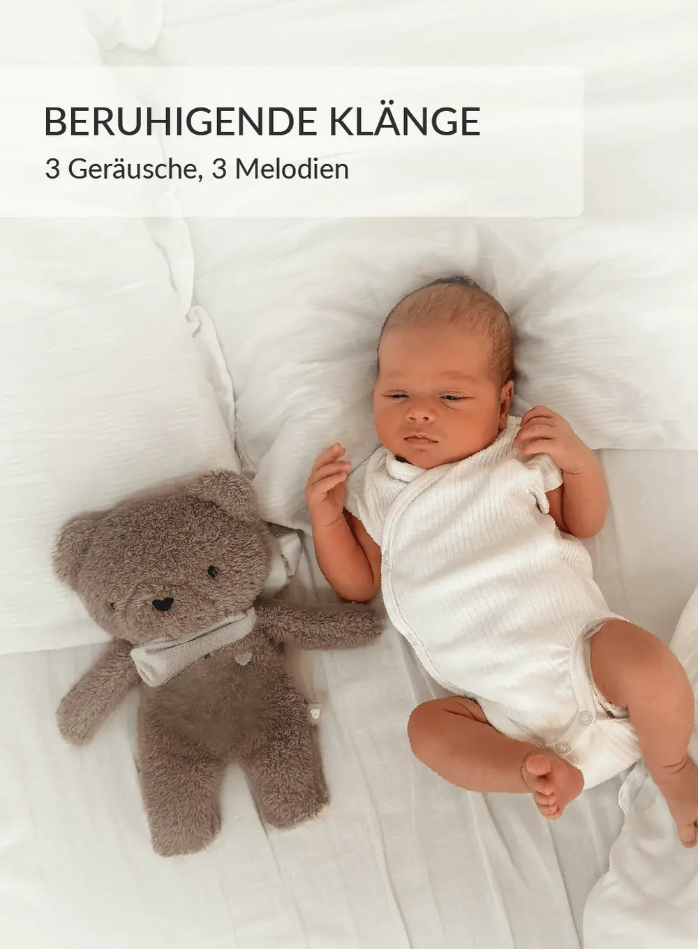BrownBear_DE-06-2