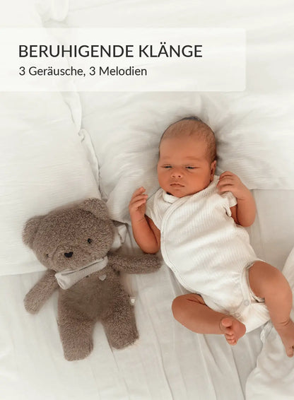 BrownBear_DE-06-2