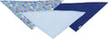 Die-kleine-Schnullerbacke_422105_01