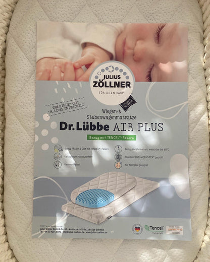 Dr-L-bbe-mit-Mosesekorb